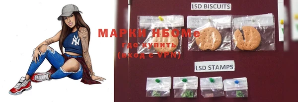 шишки Балахна