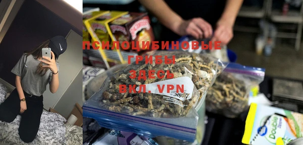 шишки Балахна